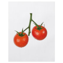 Tomatoes on a vine personalized flyer