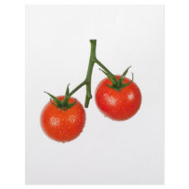 Tomatoes on a vine letterhead