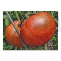 Tomatoes On The Vine Digital Art Photo Note Card