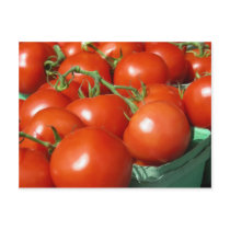 Tomatoes Post Card