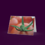 tomatos