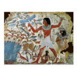 Tomb of Nebamun: Fowling Postcard