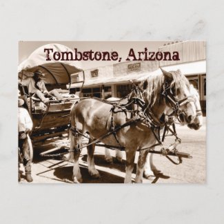 Tombstone Arizona Horses Covered Wagon Postcard