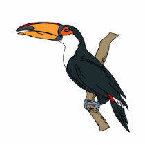 Tomino Toucan photo sculptures