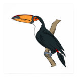 Tomino Toucan Print