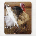 Tommy mousepads