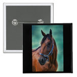 Tommy Standardbred Horse Art Buttons