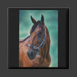 Tommy Standardbred Horse Art Fridge Magnets