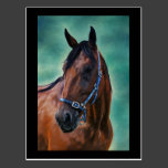 Tommy Standardbred Horse Art Postcard