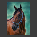 Tommy Standardbred Horse Art Poster