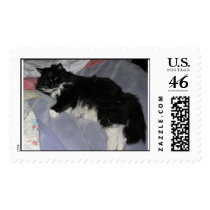 Tommy The Cat postage