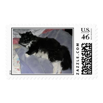 Tommy The Cat Postage Stamp by flyineye