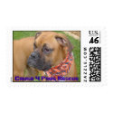 TommyLee1, Cause 4 Paws Rescue postage by punishthedeed TommyLee1, Cause 4 Paws Rescue postage