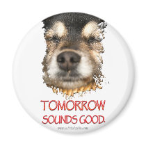 Tomorrow Sounds Good... magnets