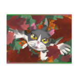 Tom's First Hallowe'en Postcard