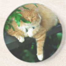 Tomtom Cat Coaster