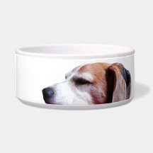 TomTom's Napf Pet Food Bowls