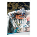 Ton O Fish posters by banshee36 Ton O Fish posters