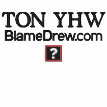 TON YHW Blame Drew Polo embroidered shirts