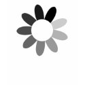Tonal Flower T-Shirt