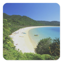 Tonga Bay, Abel Tasman NP, South Island, New