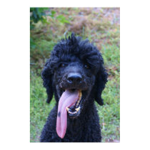 Tongue posters