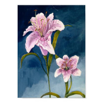 Toni's Stargazer Lillies (larger poster) posters by ttonids Toni's Stargazer Lillies (larger poster) posters