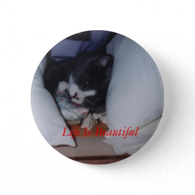 Tony among pillows, Life Is Beautiful Buttons by Ezinewriter. Tony Button