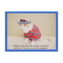 Too Cool Bubba Kitty Post Card