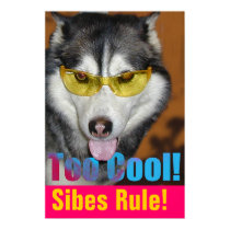 Too Cool posters