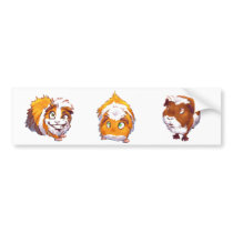 Too Curious Guinea Pig bumper stickers by Fany001 Too Curious Guinea Pig bumper stickers