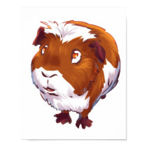 Zu neugieriges Meerschweinchen poster