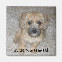 Too Cute Magnet