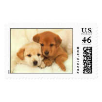 Too Cuties postage