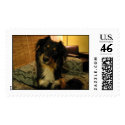 Too Darn Cute postage