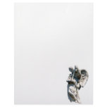 Too Heavy to Fly Custom Letterhead