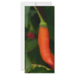 Too Hot To Handle Rack Cards