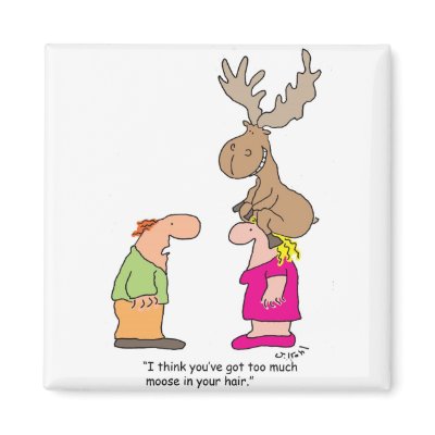 Too Much Moose Magnet by phyllidi