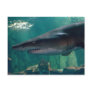 Toofy Li'l Grin Post Card