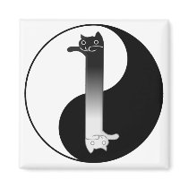 Toon Tao of Longcat Magnet
