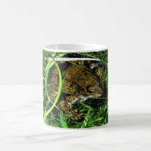 Toony Toad Coffee Mug