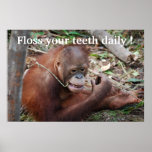 Tooth Care Floss Children's Dentist Print