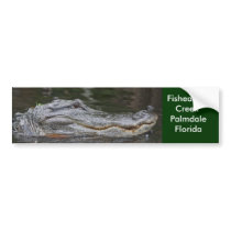 Tooth Decay bumper stickers by creekerkaren Tooth Decay bumper stickers