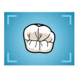 Tooth Post-Card postcards