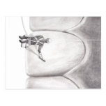 Tooth Washer Post Card postcards