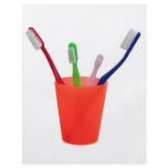Toothbrushes and cup full color flyer