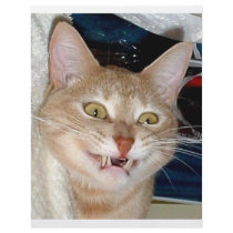 TOOTHY CAT flyers by LOOSIELUCY TOOTHY CAT flyers