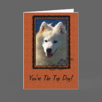 Top Dog Greeting