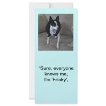 Top Dog Full Color Rack Card