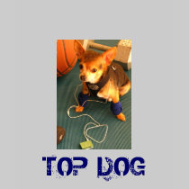 Top dog t-shirts